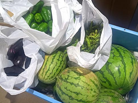 野菜1
