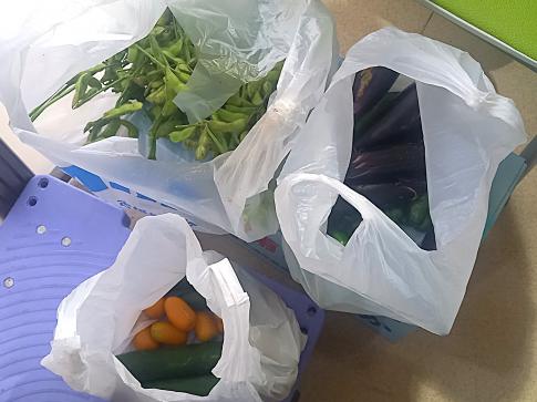 野菜2