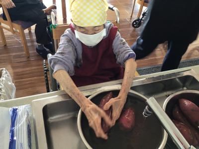 大きく育ったサツマイモをキレイに洗っています。